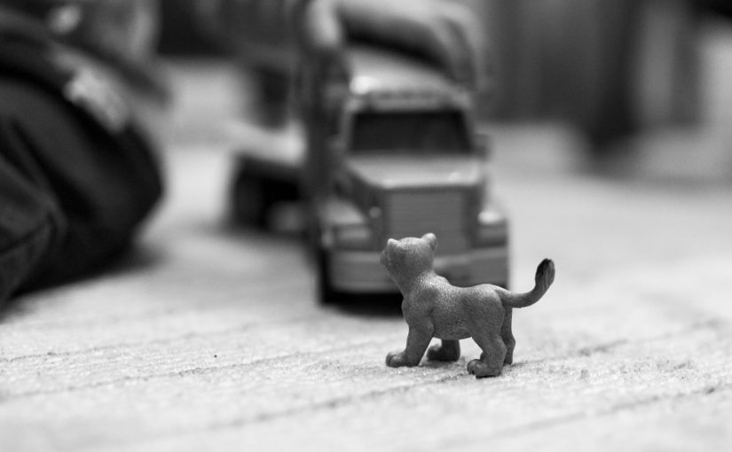 Każdy facet mający swoje cztery kółka i nie tylko , marzy by jego auto lub jednoślad wyglądały jak najlepiej.